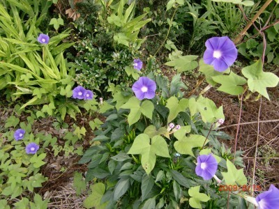 2009_815_021.jpg