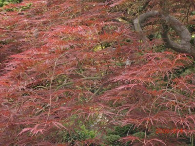 2009.5.7 010.jpg