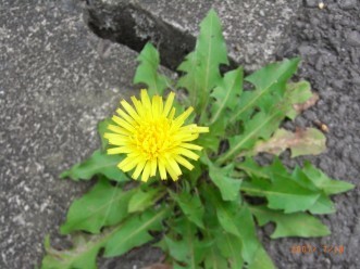 2008.7.18 010.jpg