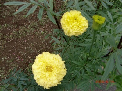 2009_815_023.jpg