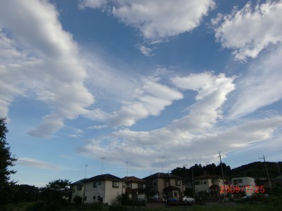 2009.7.27 003.jpg