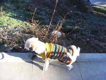 2009.1.3 013.jpg