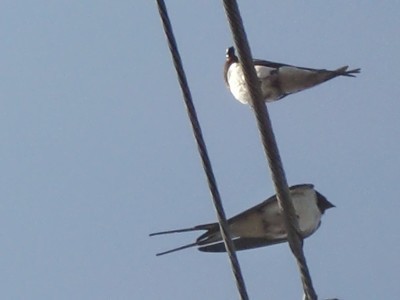 2009.3.12 027.jpg