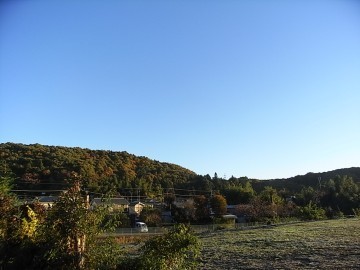 2008.11.19( 005.jpg