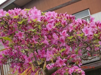 2009.5.7 007.jpg