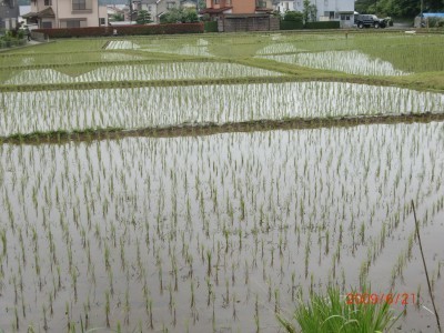 2009.6.23 004.jpg