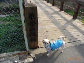 熊野神社 018.jpg