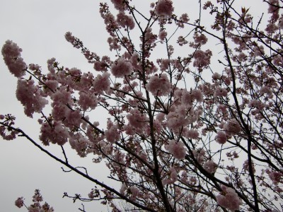 2009.4.14 005.jpg