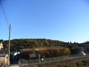 2008.11.19( 004.jpg